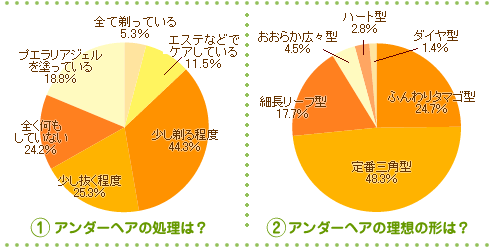 気になるアンダーヘアのはみ出し ちくちくをヒートカッターで整える 女磨き スキンケア16